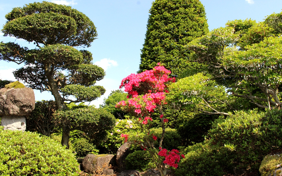 川内造園 日本庭園 盆栽